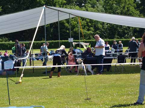 Zomershow 15 juni 2013 